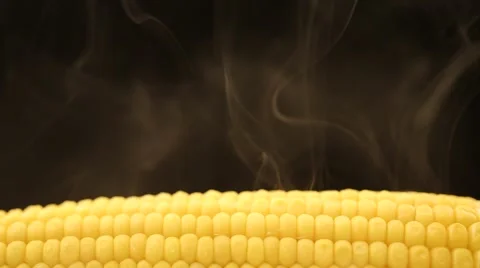 Hot corn and steam emanating from it Stock Footage 43851064