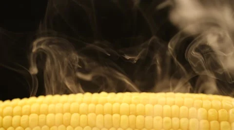 Hot corn and steam emanating from it Stock Footage 43851354