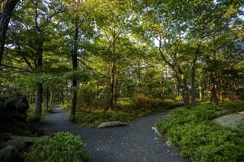 Hot Day on Bear Mountain Foto stock
