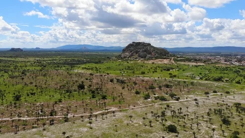 Hot day at Caatinga forest. City of Itatim, Bahia, Brazil. 動画素材 107500742
