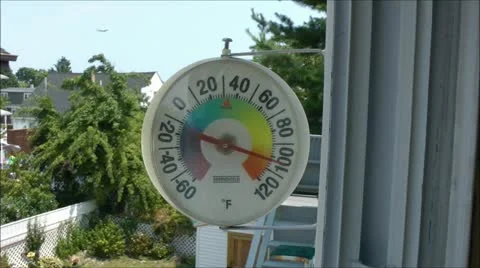 Thermometer between garden plants, Stock image