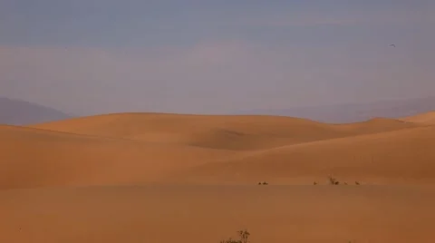 Hot desert landscape Stock-Footage 43166033