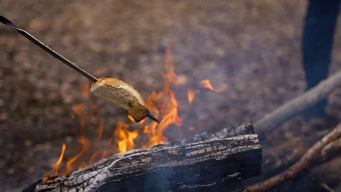 A hot dog bun is fried on a fire in the woods on a skewer Stock Footage 128366780