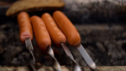 A hot dog bun is fried on a fire in the woods on a skewer Stock Footage 128367531