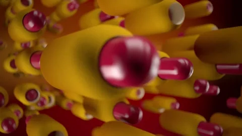 Hot dog Stock Footage 146699577