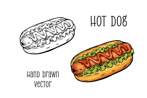 Hot dog in hand drawn vector style with color and outline 스톡 일러스트