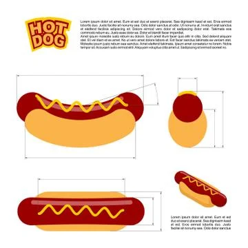 Hot dog infographics standard. reference  sizes of fast food. Drawing, bread  Stockillustratie