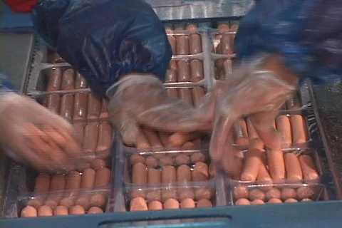 Hot Dog Packing  Stock Footage 262173