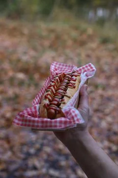 A hot dog Stock Photos