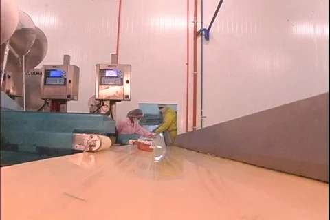 Hot Dog Quality Control 스톡 동영상 265494
