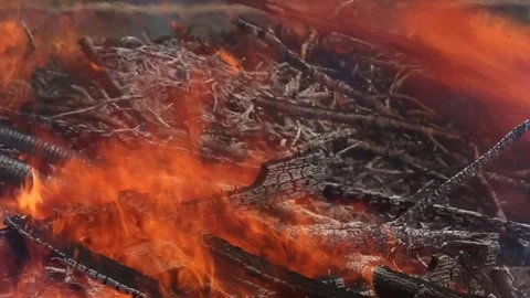 HOT EMBERS Video stock 273985867