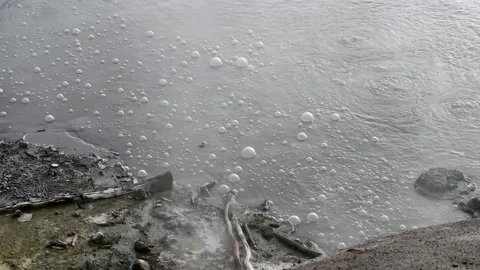 Hot exploding mud of Mud Volcano in Yellowstone National Park Stock Footage 142151587