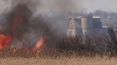 Hot field Stock Footage 86638516