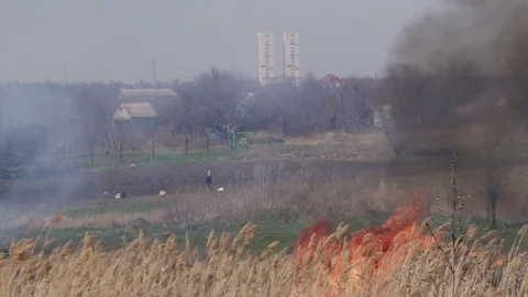 Hot field Stock Footage 86638792