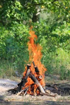 Hot fire on meadow Stock Photos