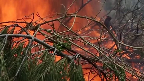 HOT FIRE PIT Stock Footage 273985891