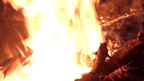 Hot fire with wood Stock Footage 101240751