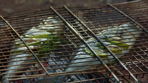 Hot fish on a grilling pan Stock Footage 100542299