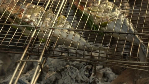 Hot fish on a grilling pan Stock Footage 100549552