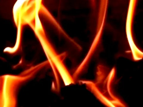 Hot Flame Video stock 490069