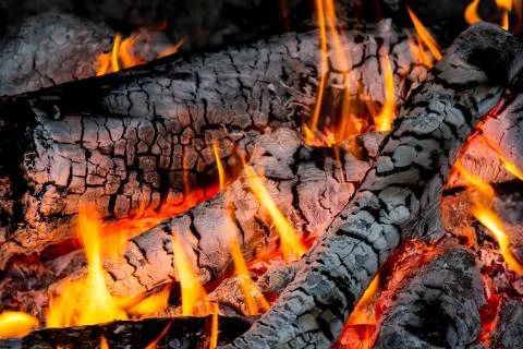 Hot flames of campfire Stock Photos