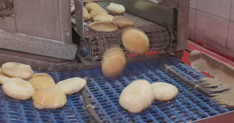 Hot fresh pitas in automatic production line, bakery factory, Before packaging Vidéo 258759533