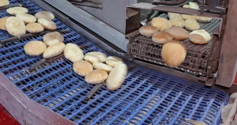 Hot fresh pitas in automatic production line, bakery factory, Before packaging Vidéo 258759539
