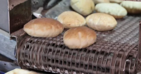 Hot fresh pitas in automatic production line, bakery factory, Before packaging Vidéo 258759663