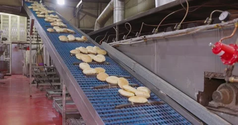 Hot fresh pitas in automatic production line, bakery factory, Before packaging Vidéo 258759799