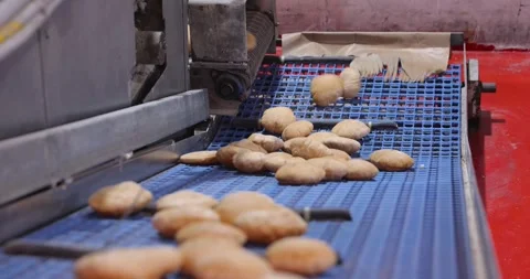 Hot fresh pitas in automatic production line, bakery factory, Before packaging Vidéo 258759817