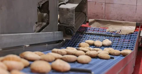 Hot fresh pitas in automatic production line, bakery factory, Before packaging Vidéo 258759954