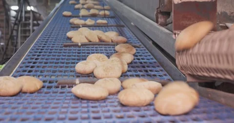 Hot fresh pitas in automatic production line, bakery factory, Before packaging Vidéo 258759990