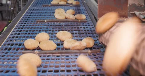 Hot fresh pitas in automatic production line, bakery factory, Before packaging Vidéo 258760074