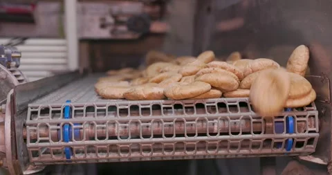 Hot fresh pitas in automatic production line, bakery factory, Before packaging Vidéo 258760506
