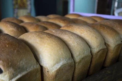 Hot freshly cooked bread is placed in trays in the bakery. Stock Photos