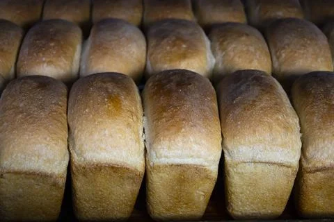 Hot freshly cooked bread is placed in trays in the bakery. Stock Photos