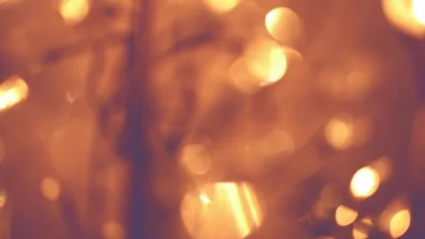 Hot Glowing Light Spots Bokeh with Movement Stock Footage 237110624