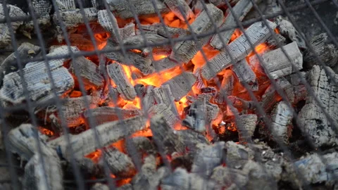 Hot grill ready for grilling Stock Footage 164478227