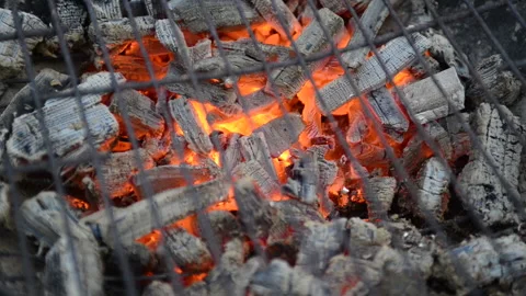 Hot grill ready for grilling Stock Footage 164478238