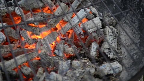 Hot grill ready for grilling Stock Footage 164478668