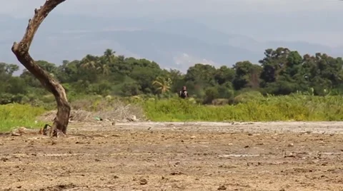 Hot Haitian Landscape Stock Footage 45422460