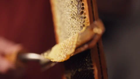 Hot knife on honeycomb Stock Footage 287894046