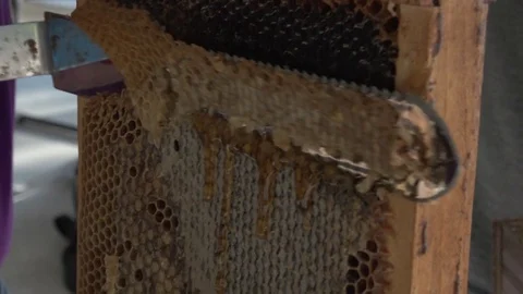 Hot Knife through Honey on bee hive on small bee farm in rural town 1080p Stock Footage 85022149