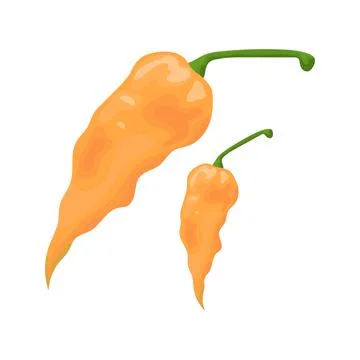 Hot Mexican pepper. Stock Illustration