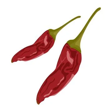Hot Mexican pepper. Stock Illustration