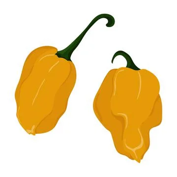 Hot Mexican pepper. Stock Illustration