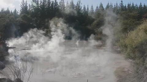 Hot Mud Pool Geothermal, New Zealand Stock Footage 91355980