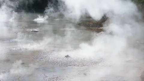 Hot Mud Pool Geothermal, New Zealand Stock Footage 91356124