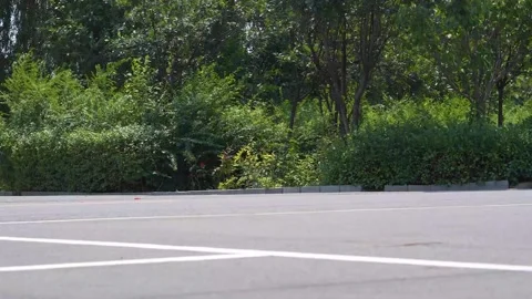 Hot noon in summer, empty open parking lot and surrounding green plants and tree Stock Footage 157532233