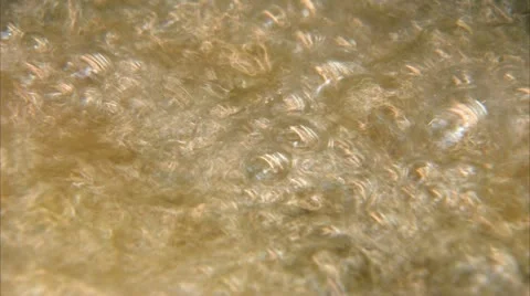 HOT OIL Stock-Footage 12321255